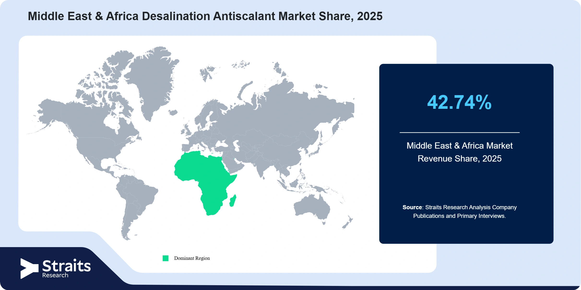 Middle East & Africa Desalination Antiscalant Market Revenue Share 2025