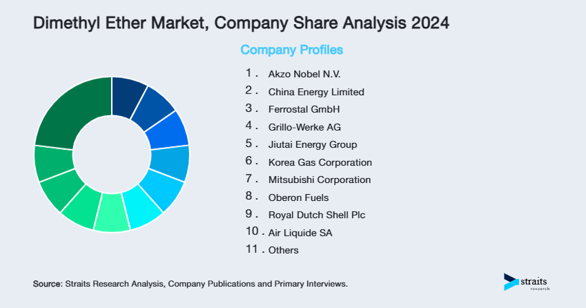 Dimethyl Ether Market Share of Key Players