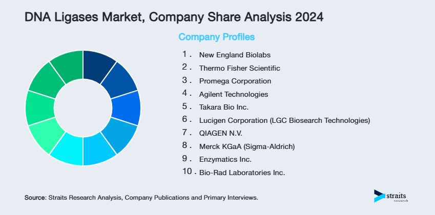 DNA Ligases Market Share of Key Players