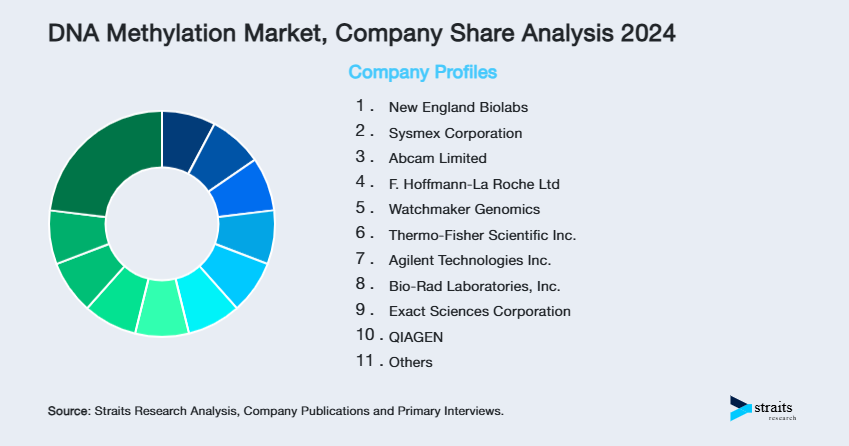 DNA Methylation Market Share of Key Players