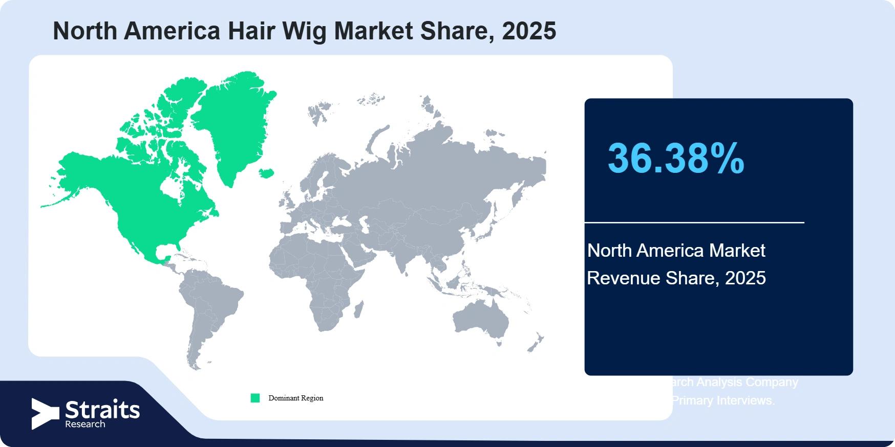 North America Hair Wig Market Revenue Share 2025