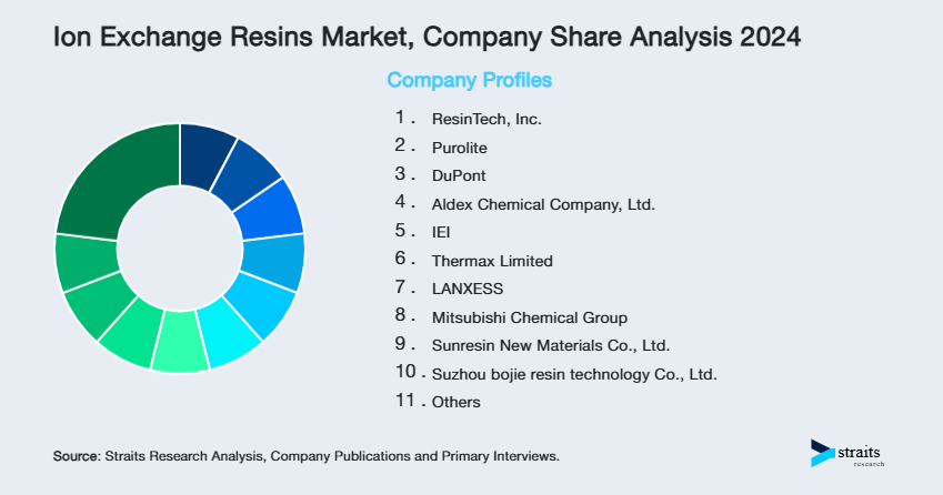 Ion Exchange Resins Market Share of Key Players