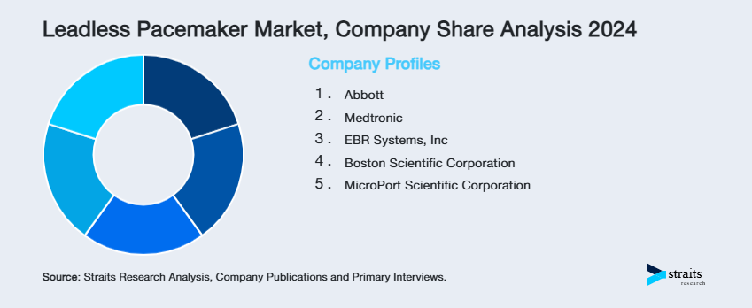 Leadless Pacemaker Market Share of Key Players