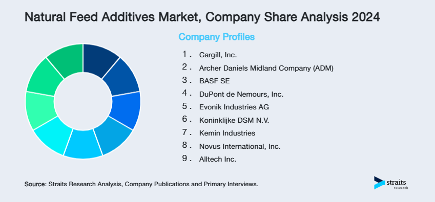 Natural Feed Additives Market Share of Key Players