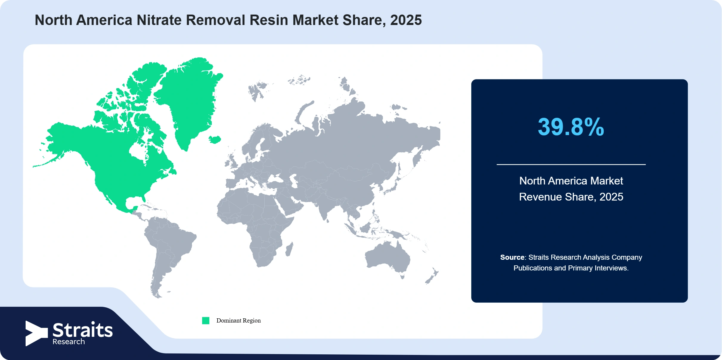 North America Nitrate Removal Resin Market Revenue Share 2025