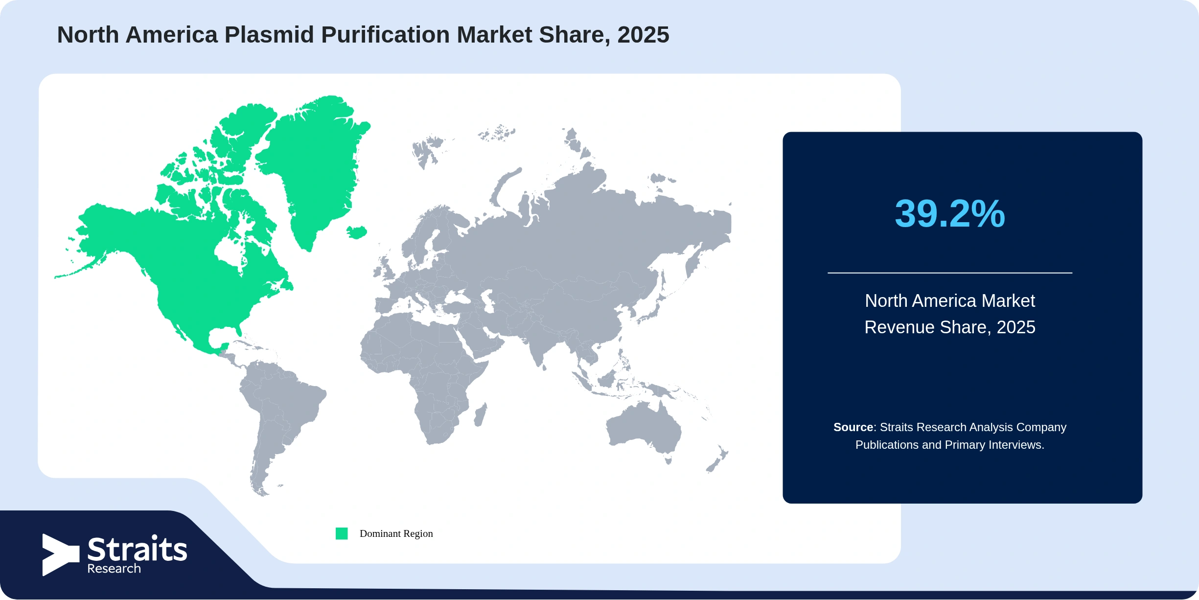 North America Plasmid Purification Market Revenue Share 2025