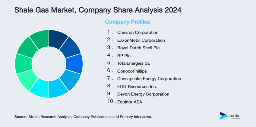 Shale Gas Market Share of Key Players