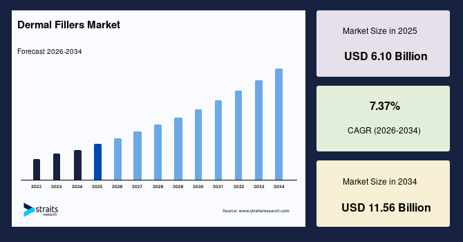 Dermal Fillers Market Size