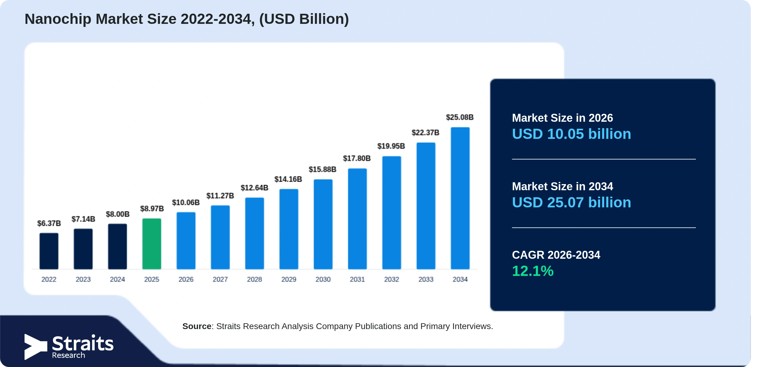 Nanochip Market Size