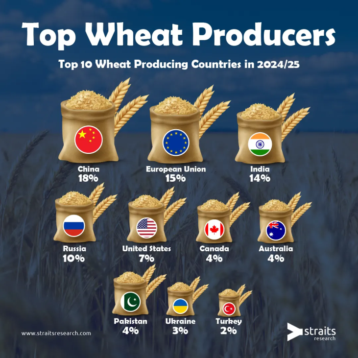 Major Wheat-Producing Nations in 2024/25